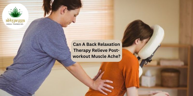 Best Back Massager